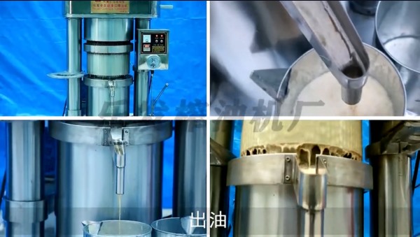 液压榨油机-操作过程视频-榨油效果